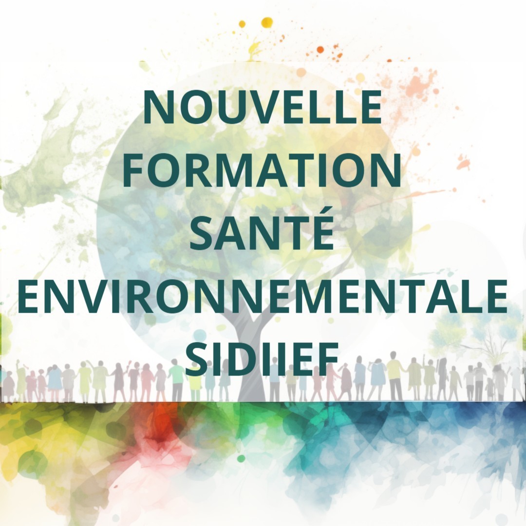 Formation En Santé Environnementale 2024 Sidiief