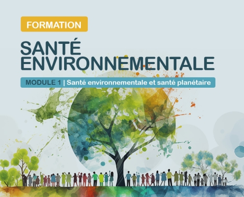 Formation Sante Environnementale - accueil