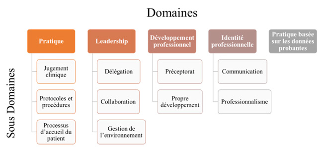 Les domaines et sous domaines des compétences